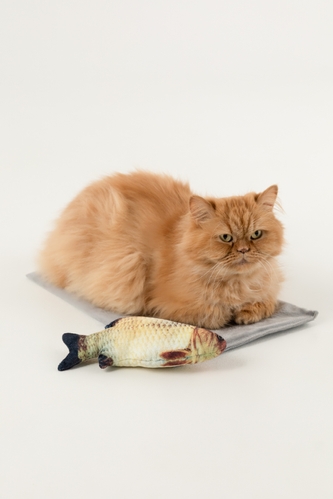 Мягкая игрушка Рыба для кота КАРАСЬ KUMAOCHONGWUYONGPIN KM52656 Разноцветный (2002014440870)